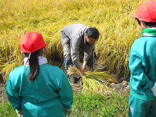 DSCN6009.jpg DSCN6009.jpg