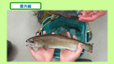 饤23.jpg
