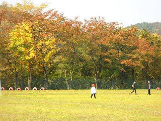 DSCN6175.jpg