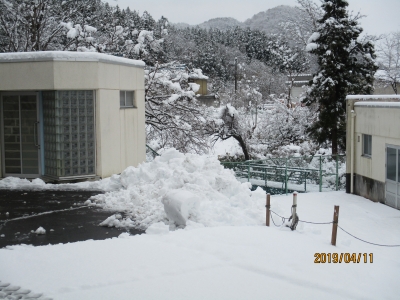 IMG_8694.jpg IMG_8694.jpg
