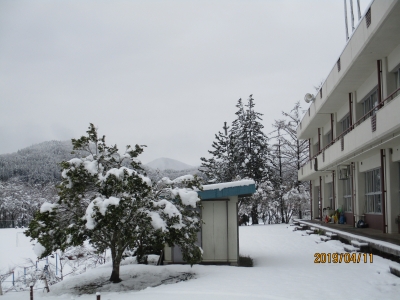 IMG_8695.jpg IMG_8695.jpg
