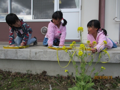 IMG_8715.jpg