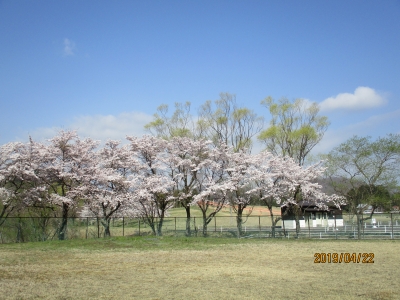 IMG_8758.jpg