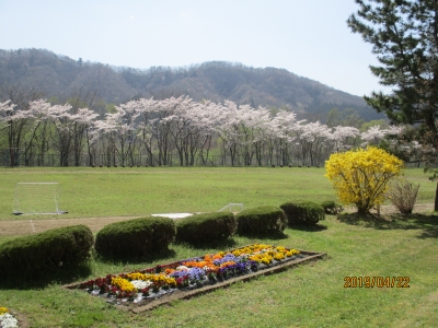 IMG_8764.jpg