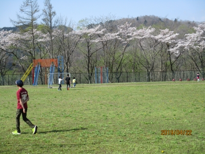 IMG_8760.jpg