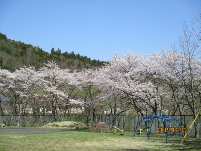 IMG_8781.jpg