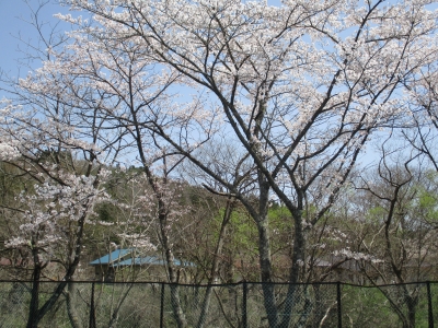 IMG_8790.jpg