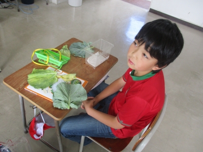 IMG_9347 - コピー.jpg IMG_9347 - コピー.jpg