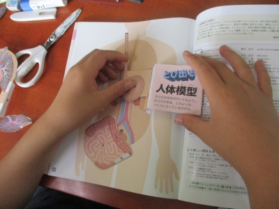 IMG_9350 - コピー.jpg IMG_9350 - コピー.jpg