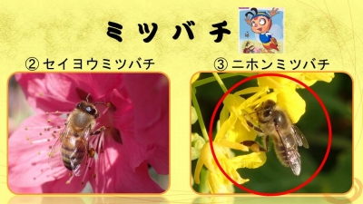 スライド4.jpg スライド4.jpg