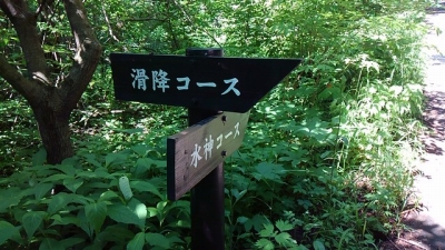 IMG_8833.jpg