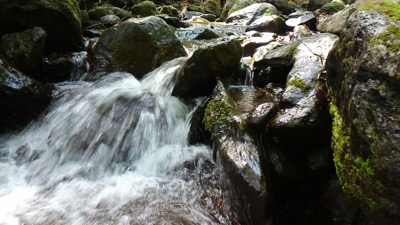 CA8AD82C-7937-4179-855A-4AA3FAEFDD90.jpeg