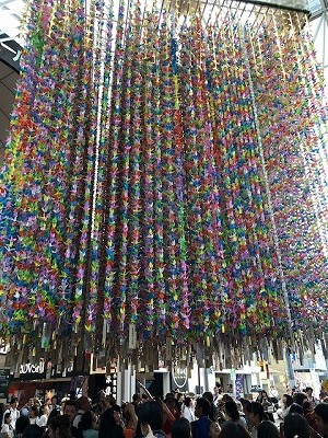 IMG_1947.jpg