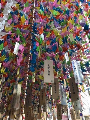 IMG_1953.jpg