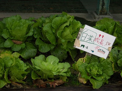 DSCN6419.jpg