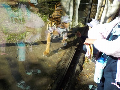 DSCN3307.jpg DSCN3307.jpg