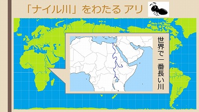 饤9.jpg