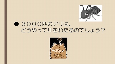 饤11.jpg