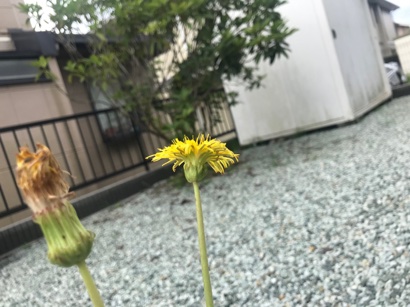 702A8B43-7B37-4010-9D4D-6347FE23F6EF.jpeg 702A8B43-7B37-4010-9D4D-6347FE23F6EF.jpeg