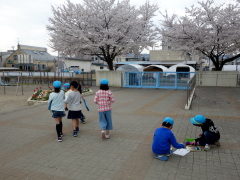校門前の桜